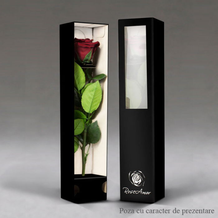 Fir de trandafir criogenat ciclam [2]