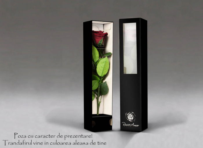 Fir de trandafir criogenat rosu Velvet [2]