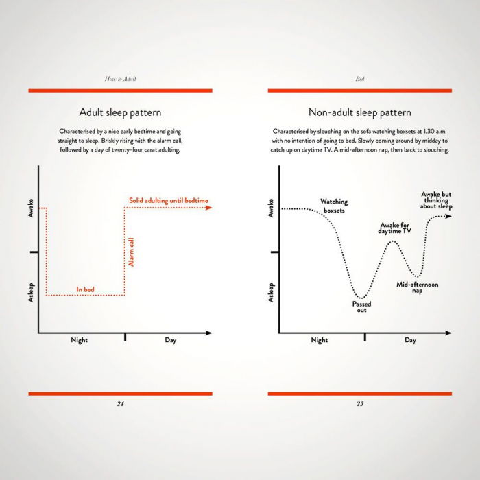 Ghid de viata ilustrat How to adult [4]