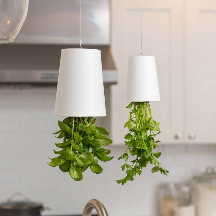 Ghiveci cu susul in jos [1]