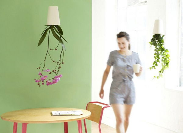 Ghiveci cu susul in jos [3]