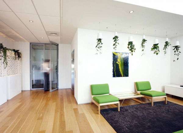 Ghiveci cu susul in jos [4]