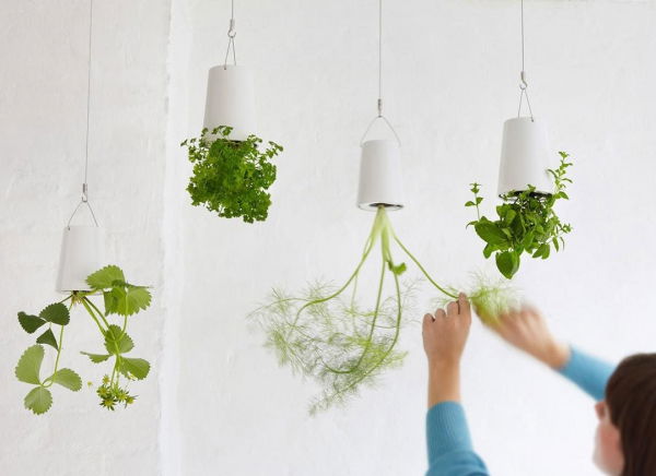 Ghiveci cu susul in jos [2]