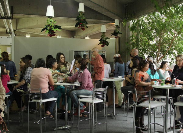 Ghiveci cu susul in jos [3]