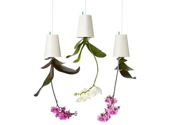 Ghiveci cu susul in jos [8]