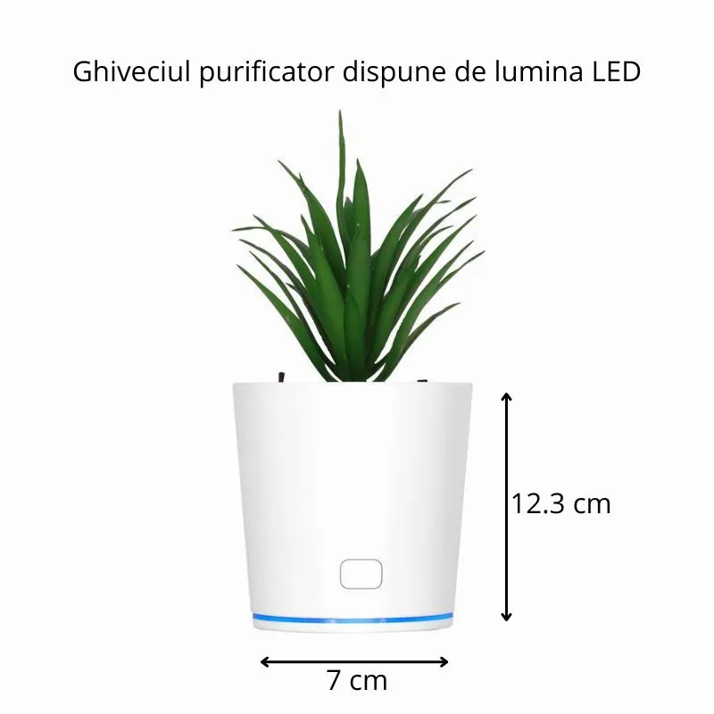 Ghiveci purificator de aer cu USB [10]