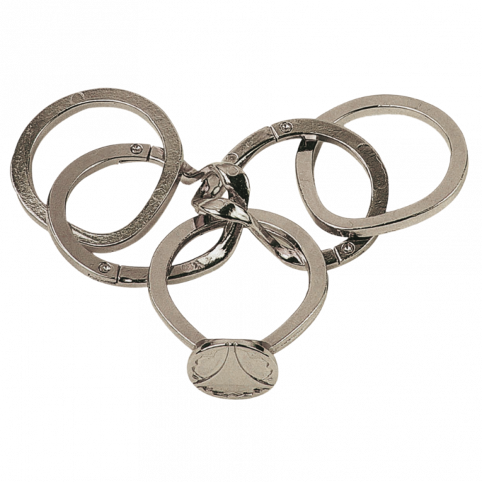 Hanayama Huzzle Cast RING II [3]