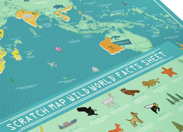 Harta Razuibila Wild - Originala Luckies [7]