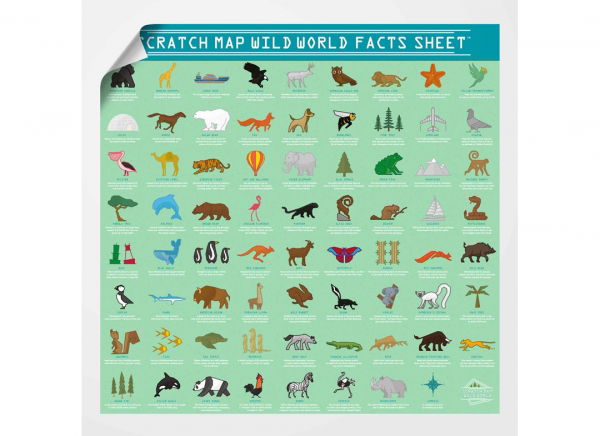 Harta Razuibila Wild - Originala Luckies [8]