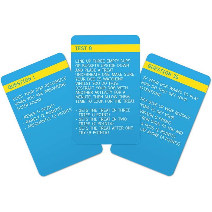IQ Test pentru caini [3]