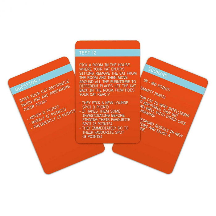 IQ Test pentru pisici [2]