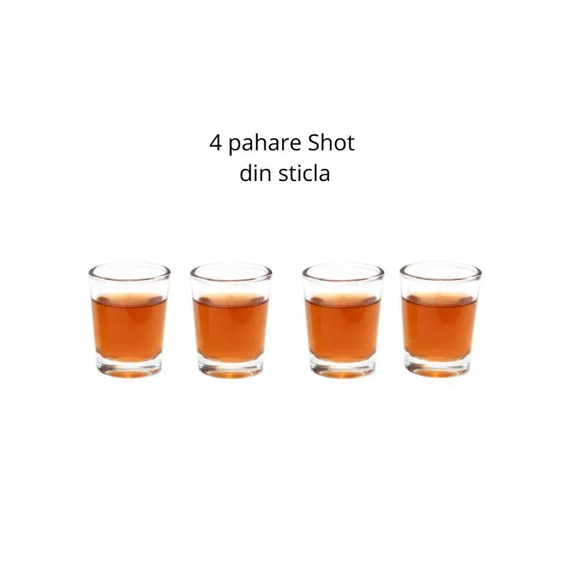 Joc de baut Bowling cu shoturi [5]