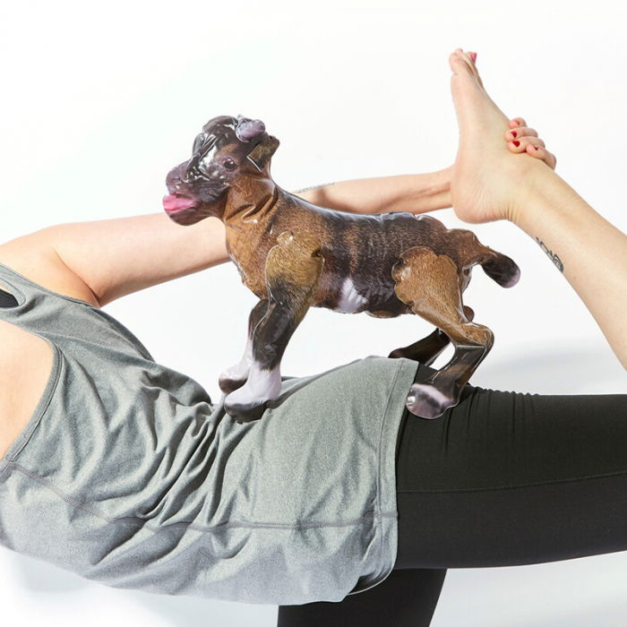 Jocul petrecerii YOGA Goat [6]