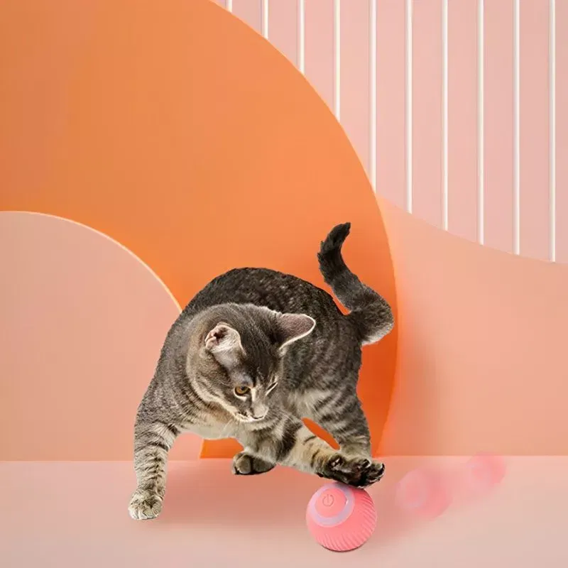 Jucarie interactiva pentru pisici Smart Moving [3]