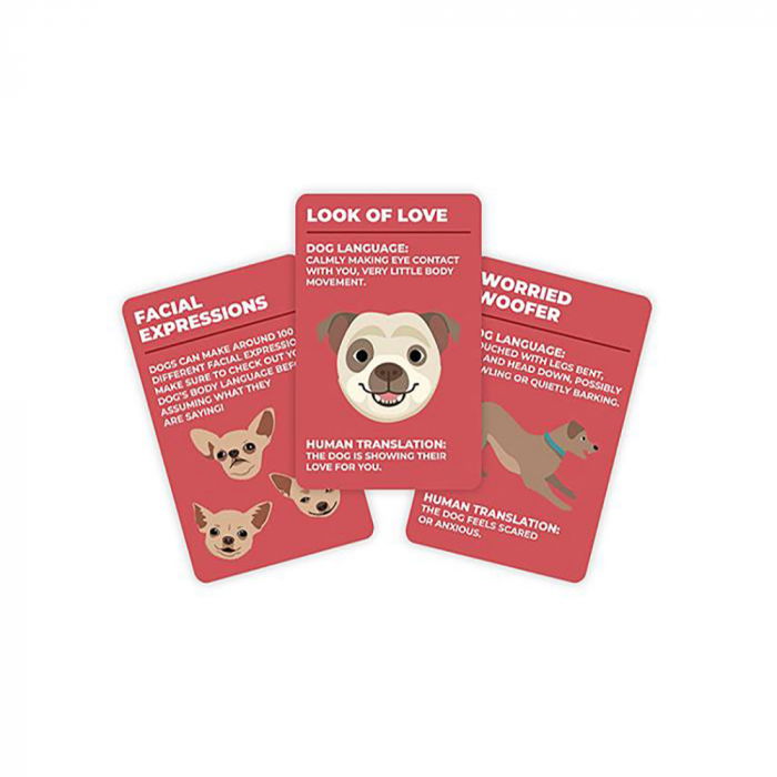 Limbajul cainilor. Dictionar traznit cu 100 carduri [2]