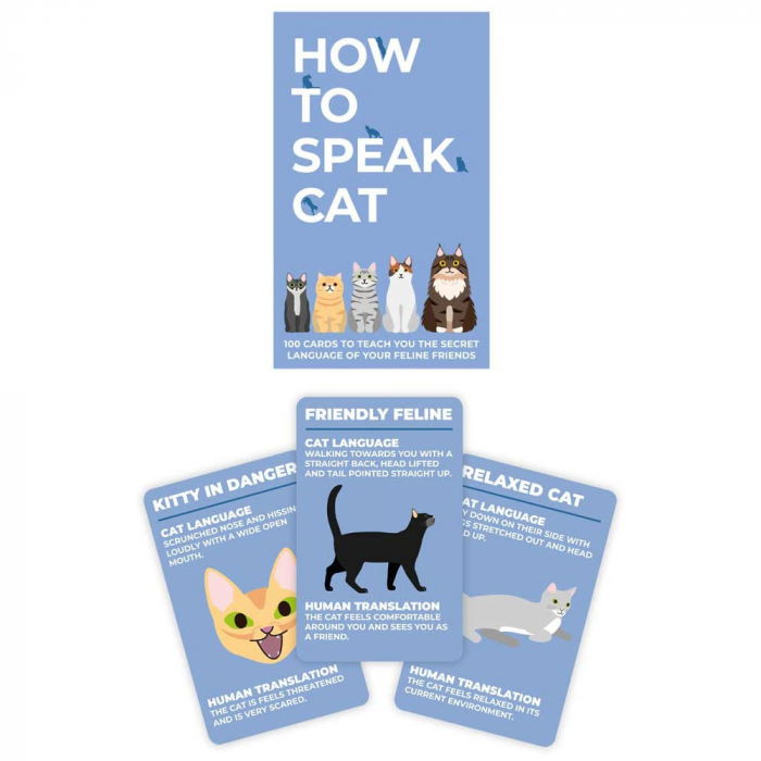 Limbajul pisicilor. Dictionar traznit cu 100 carduri [3]