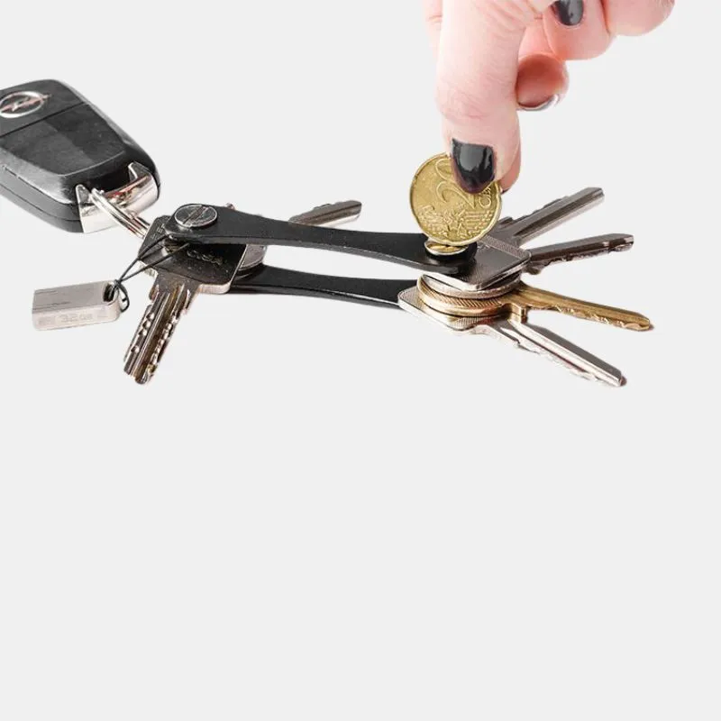 Organizator de Chei Negru [3]