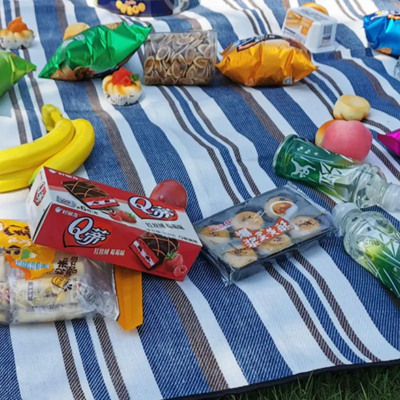 Patura Picnic Fun cu Buzunar [5]