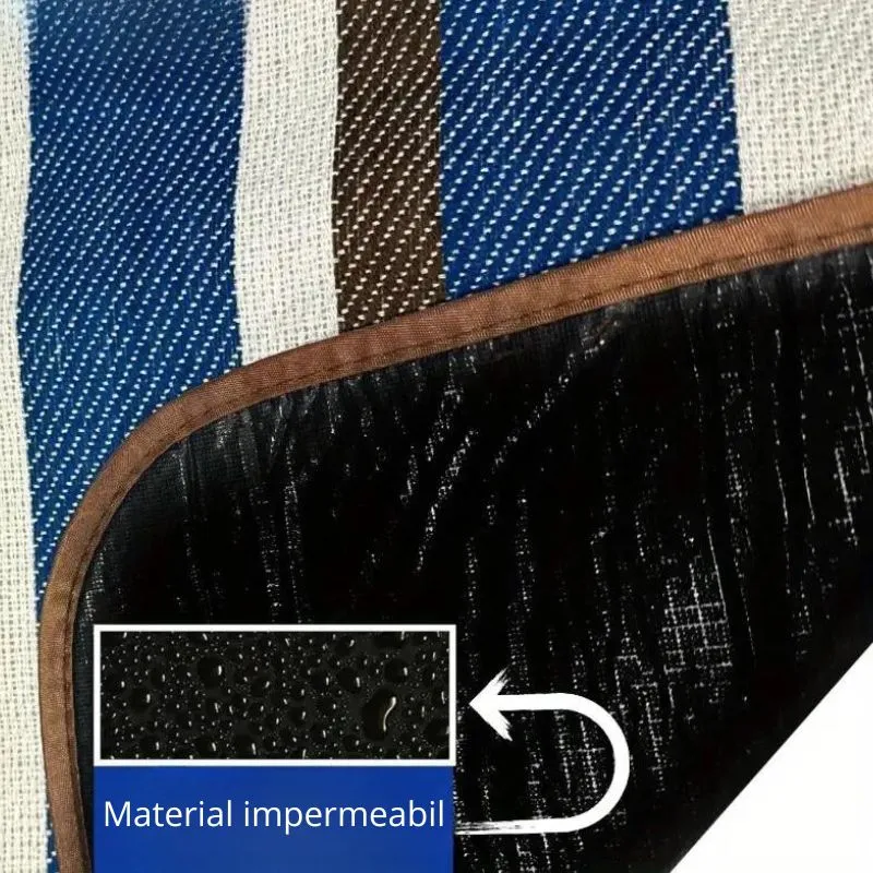 Patura Picnic Fun cu Buzunar [7]