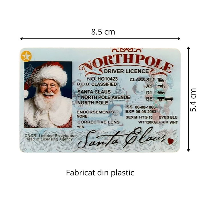 Permisul de conducere al lui Mos Craciun [10]