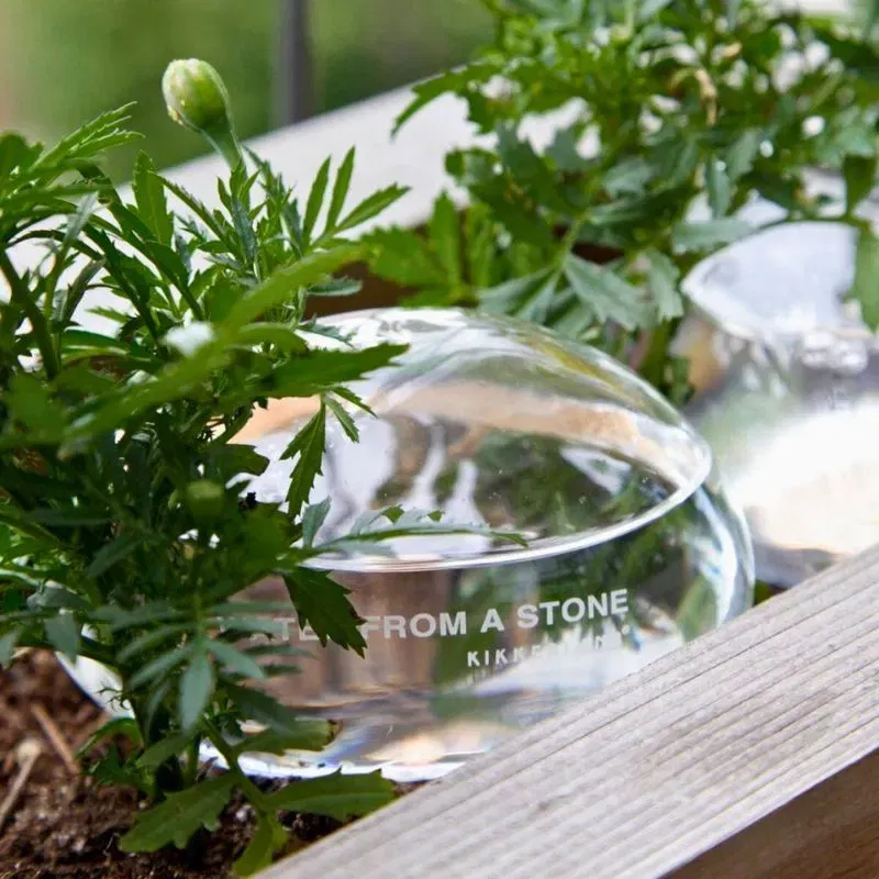 Pietre Picuratoare H2O [6]