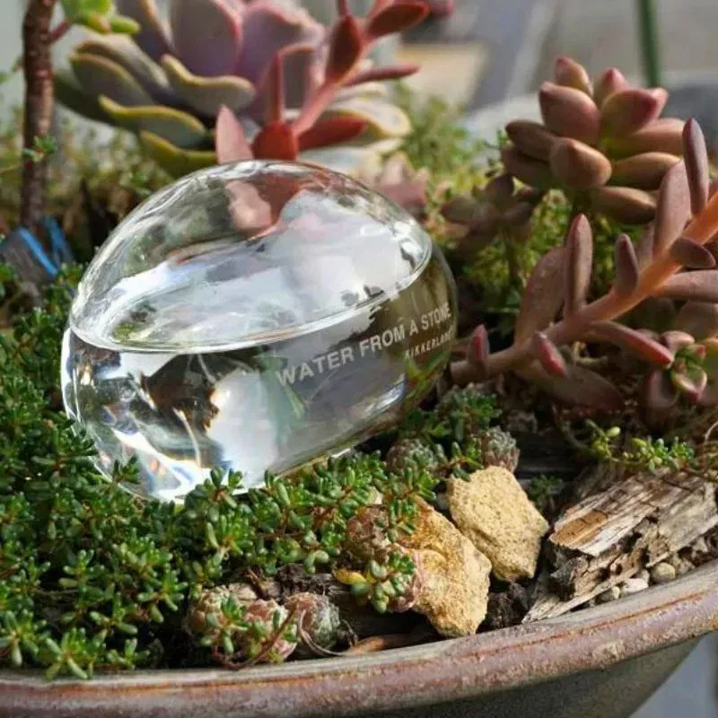 Pietre Picuratoare H2O [5]