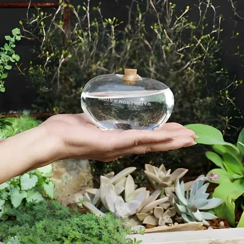 Pietre Picuratoare H2O [4]