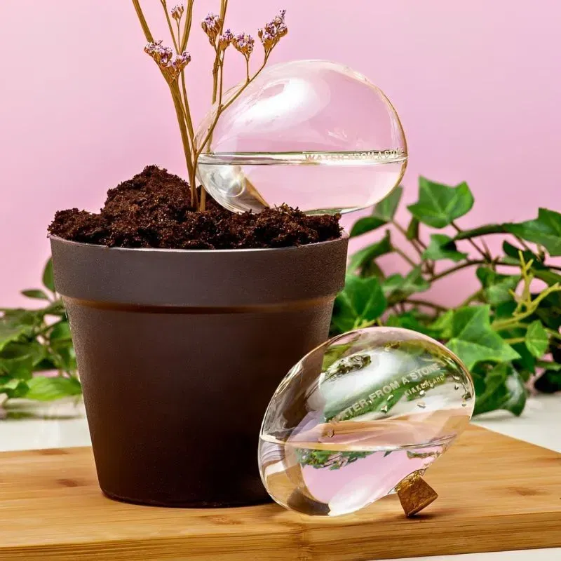 Pietre Picuratoare H2O [1]