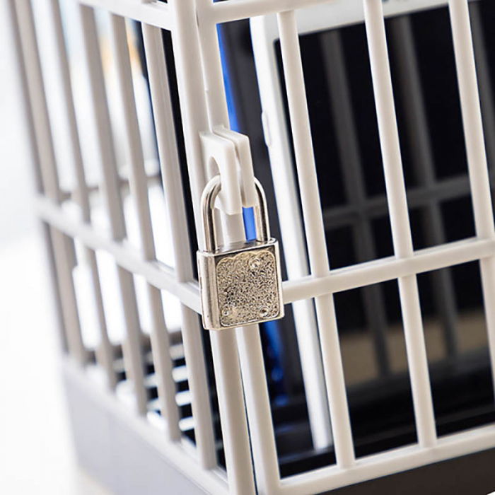 Puscarie pentru smartphone [2]