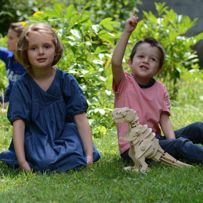 Puzzle 3D Walking T-Rex, Lemn, Robotime [4]