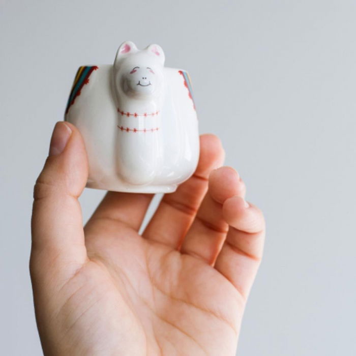 Set cadou 4 cani Espresso Animale amuzante [9]