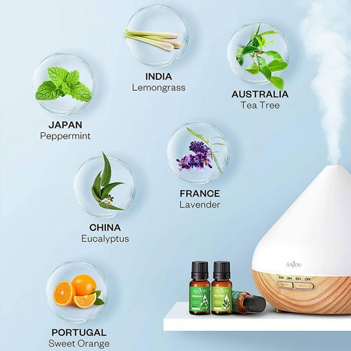 Set cadou 6 uleiuri esentiale Anjou, puritate 100% [4]