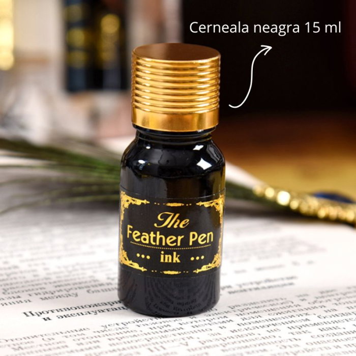 Set cadou Caligrafie cu Pana verde tip paun, Cerneala si Cutie Vintage, 3 piese [6]