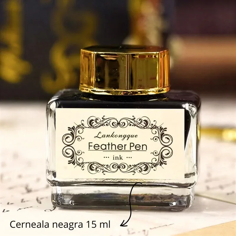 Set cadou Caligrafie Vintage cu Pana neagra, Cerneala, Jurnal si Accesorii pentru Scris, 13 piese [6]