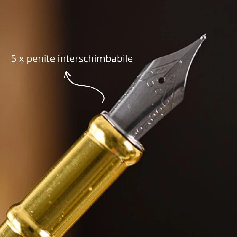 Set cadou Caligrafie Vintage cu Pana verde, Jurnal si Stampila pentru Ceara, Set complet 13 piese [13]