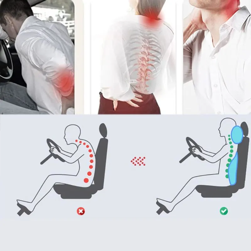 Set perne pentru Scaun Auto [8]