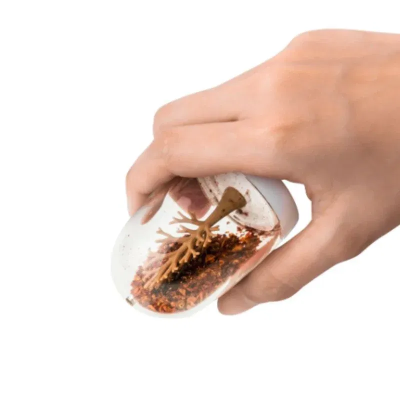 Set recipiente condimente, Aventura in bucatarie [6]