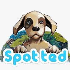 Spotted  | MindBlower.ro [15]