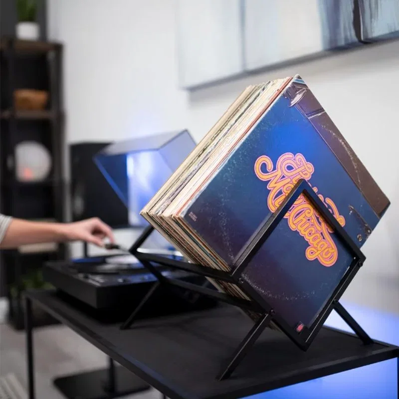 Suport pentru discuri vinil cu design minimalist [2]