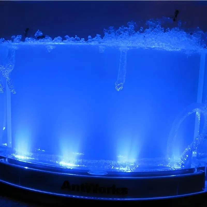 Terariu pentru Furnici cu Iluminare LED [2]