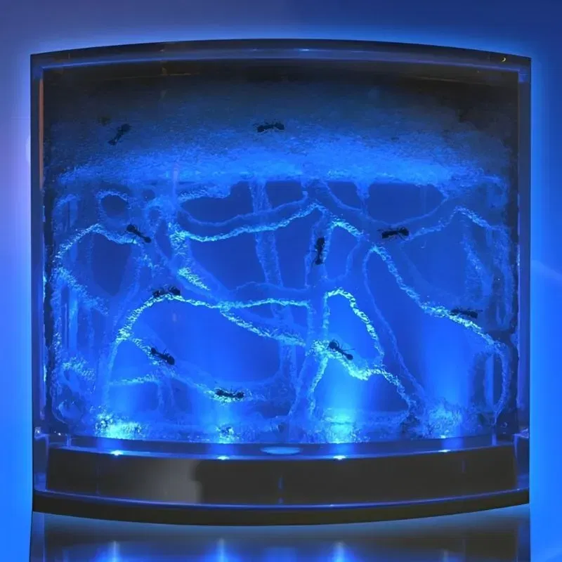 Terariu pentru Furnici cu Iluminare LED [10]