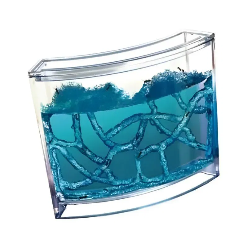 Terariu pentru Furnici cu Iluminare LED [12]