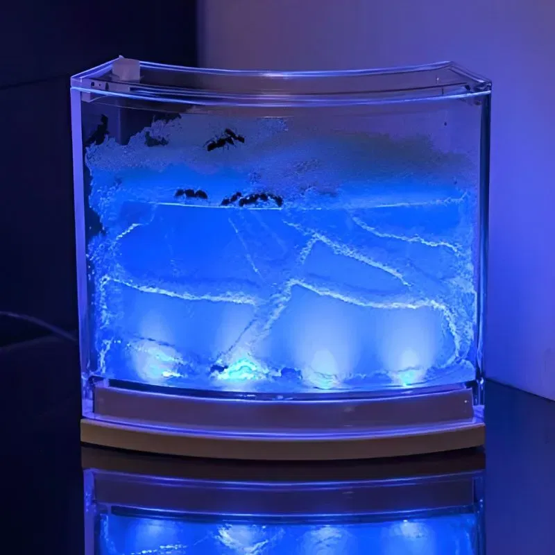 Terariu pentru Furnici cu Iluminare LED [1]