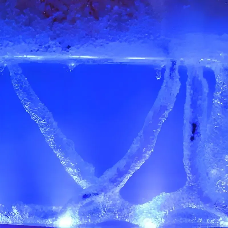 Terariu pentru Furnici cu Iluminare LED [7]