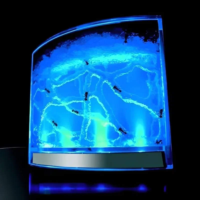 Terariu pentru Furnici cu Iluminare LED [9]