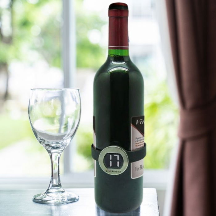 Termometru digital pentru sticla de vin [1]