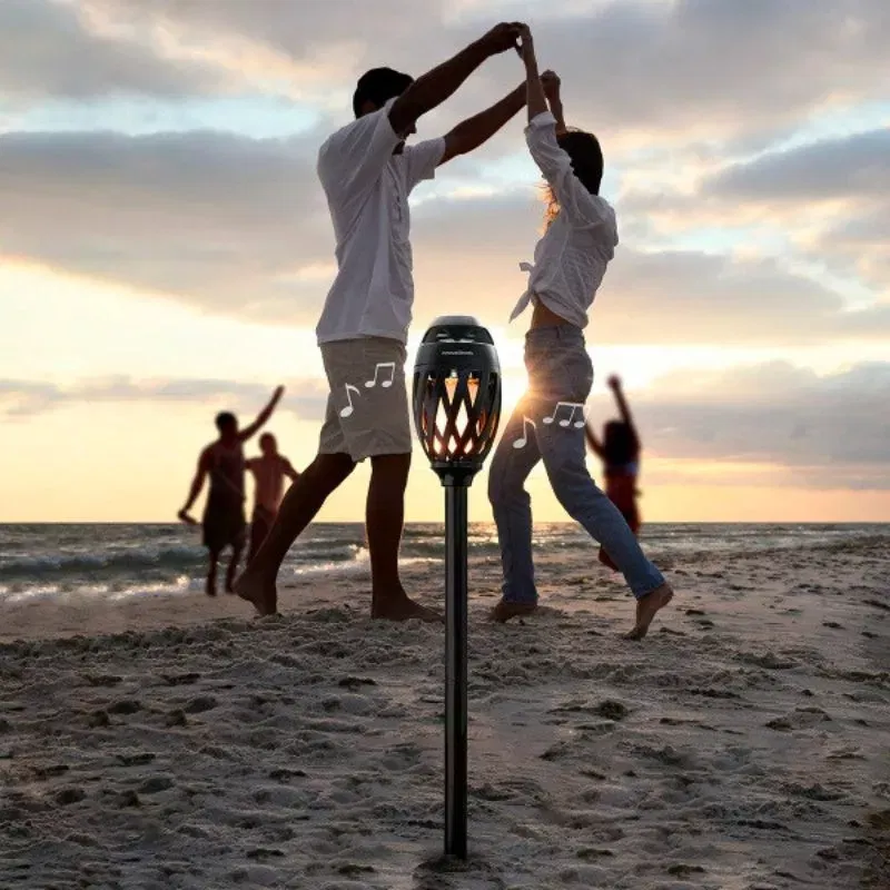 Torta muzicala pentru distractie outdoor [6]