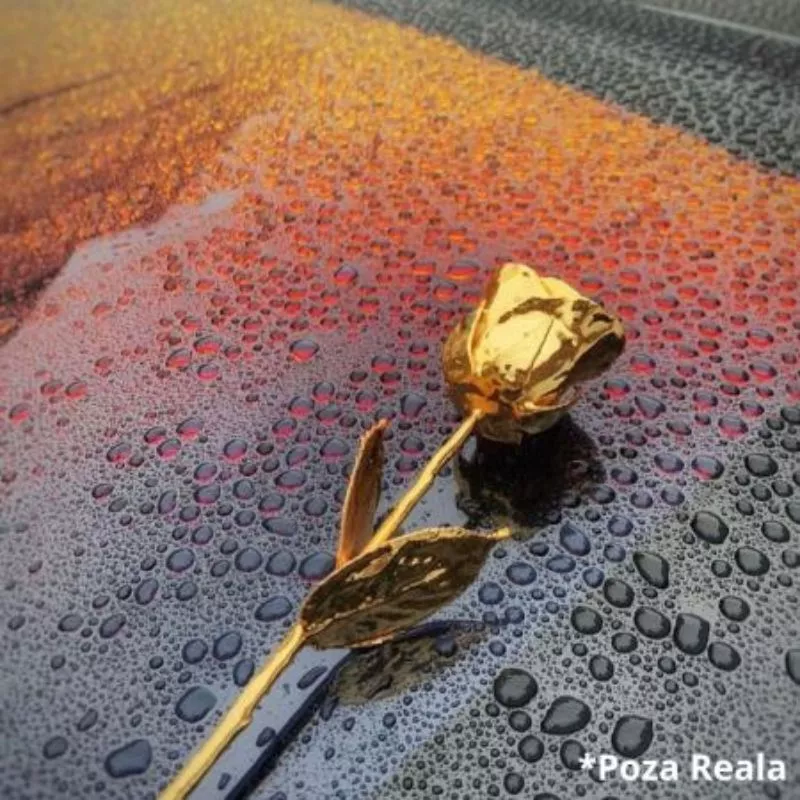 Trandafir placat cu aur de 24K [14]