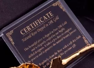 Trandafir placat cu aur de 24K [19]