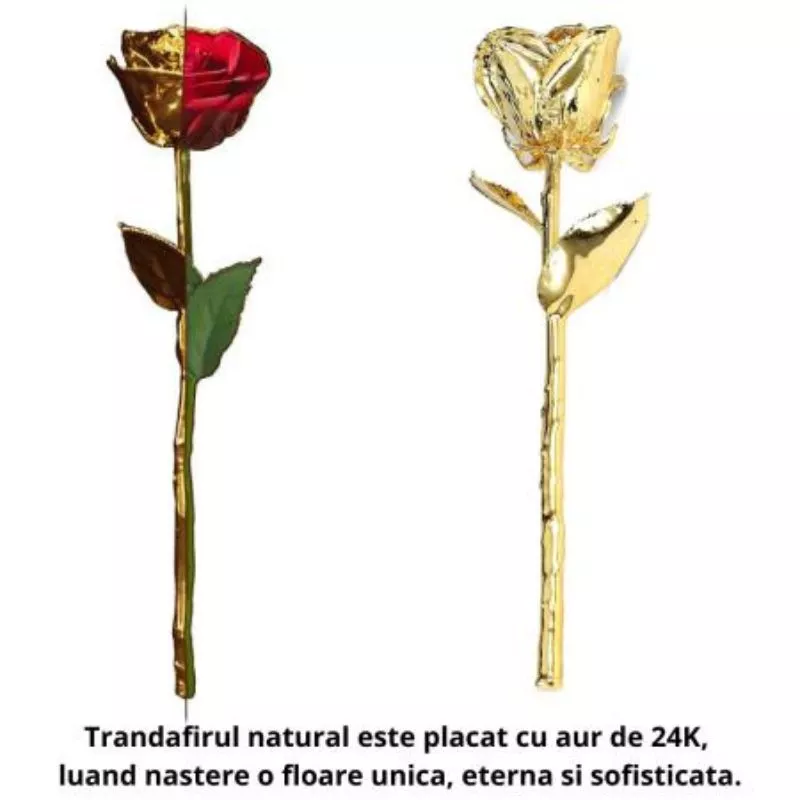 Trandafir placat cu aur de 24K [11]
